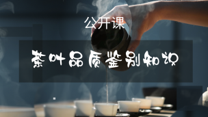 茶叶品质鉴别知识